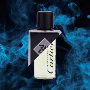 C@ARTIER DECLCARATION