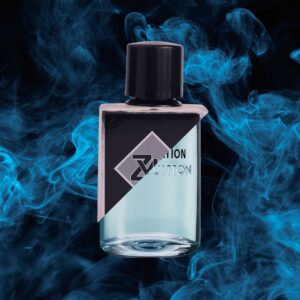 L@UIS VITT@N IMAGINATION